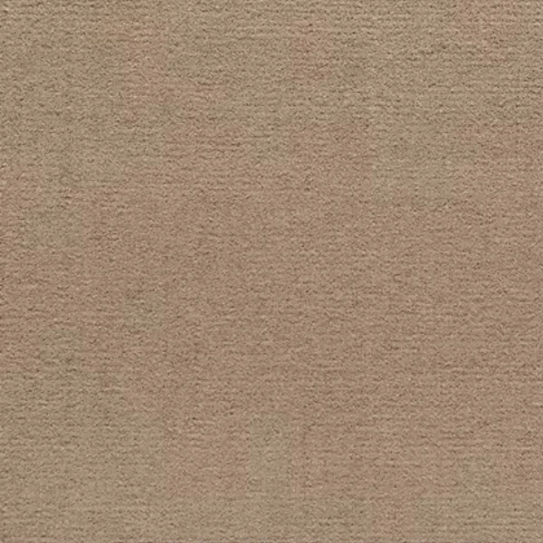 Soft tan Plush Chamois marine carpet